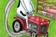 cows
