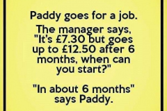 paddy